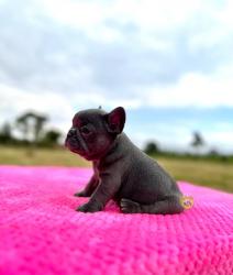 Click sobre la imagen para ampliarla