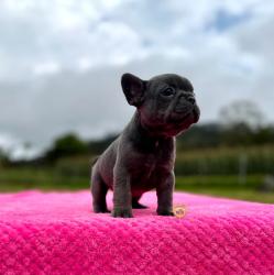 Click sobre la imagen para ampliarla