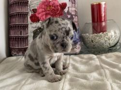 Click sobre la imagen para ampliarla