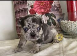 Click sobre la imagen para ampliarla