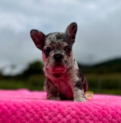 Click sobre la imagen para ampliarla