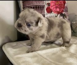 Click sobre la imagen para ampliarla