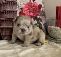 Click sobre la imagen para ampliarla