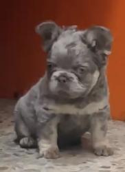 Click sobre la imagen para ampliarla