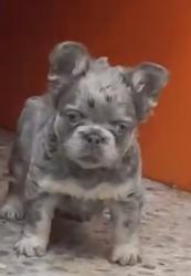 Click sobre la imagen para ampliarla