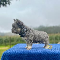 Click sobre la imagen para ampliarla