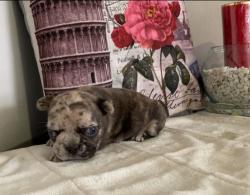 Click sobre la imagen para ampliarla