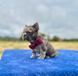 Click sobre la imagen para ampliarla