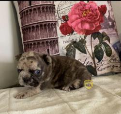 Click sobre la imagen para ampliarla