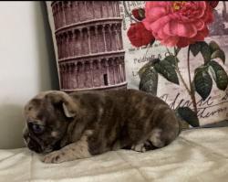 Click sobre la imagen para ampliarla