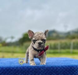 Click sobre la imagen para ampliarla