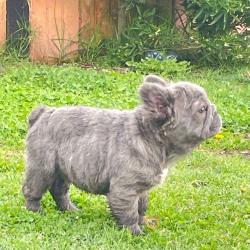 Click sobre la imagen para ampliarla