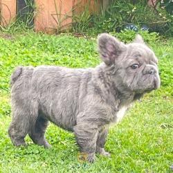 Click sobre la imagen para ampliarla