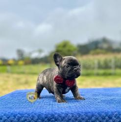 Click sobre la imagen para ampliarla