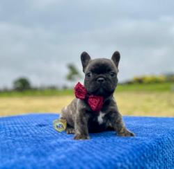 Click sobre la imagen para ampliarla