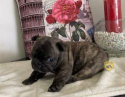 Click sobre la imagen para ampliarla