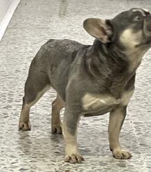 Click sobre la imagen para ampliarla