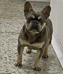 Click sobre la imagen para ampliarla