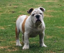 Click sobre la imagen para ampliarla