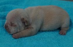 Click sobre la imagen para ampliarla