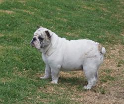 Click sobre la imagen para ampliarla