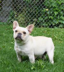 Click sobre la imagen para ampliarla