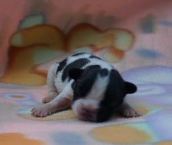 Click sobre la imagen para ampliarla