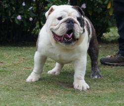 Click sobre la imagen para ampliarla