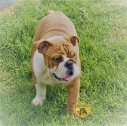 Click sobre la imagen para ampliarla