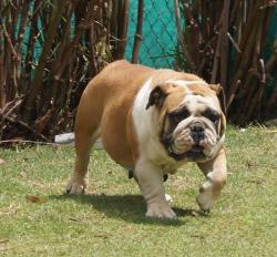 Click sobre la imagen para ampliarla