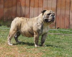 Click sobre la imagen para ampliarla