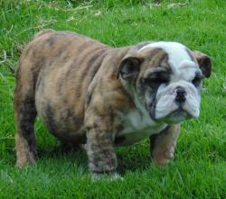 Click sobre la imagen para ampliarla