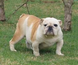 Click sobre la imagen para ampliarla