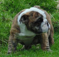 Click sobre la imagen para ampliarla