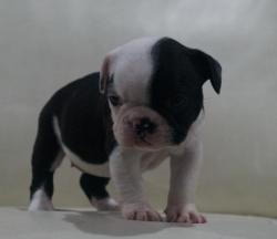 Click sobre la imagen para ampliarla