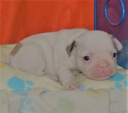 Click sobre la imagen para ampliarla