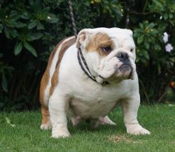 Click sobre la imagen para ampliarla