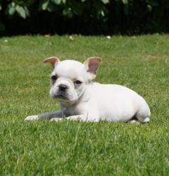 Click sobre la imagen para ampliarla