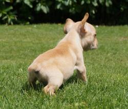 Click sobre la imagen para ampliarla