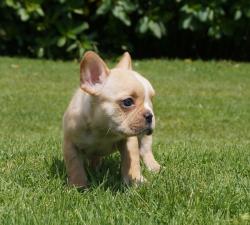 Click sobre la imagen para ampliarla