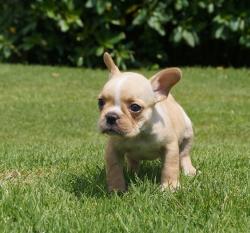 Click sobre la imagen para ampliarla