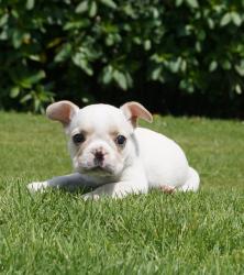 Click sobre la imagen para ampliarla