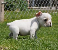 Click sobre la imagen para ampliarla