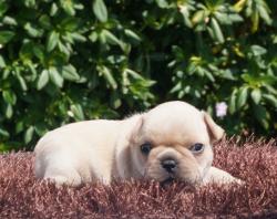 Click sobre la imagen para ampliarla