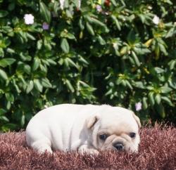 Click sobre la imagen para ampliarla