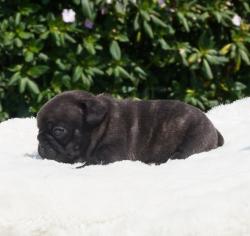 Click sobre la imagen para ampliarla