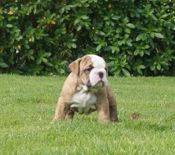 Click sobre la imagen para ampliarla