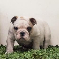 Click sobre la imagen para ampliarla