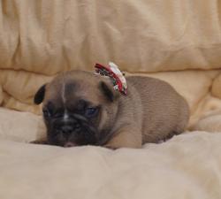 Click sobre la imagen para ampliarla