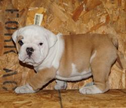 Click sobre la imagen para ampliarla